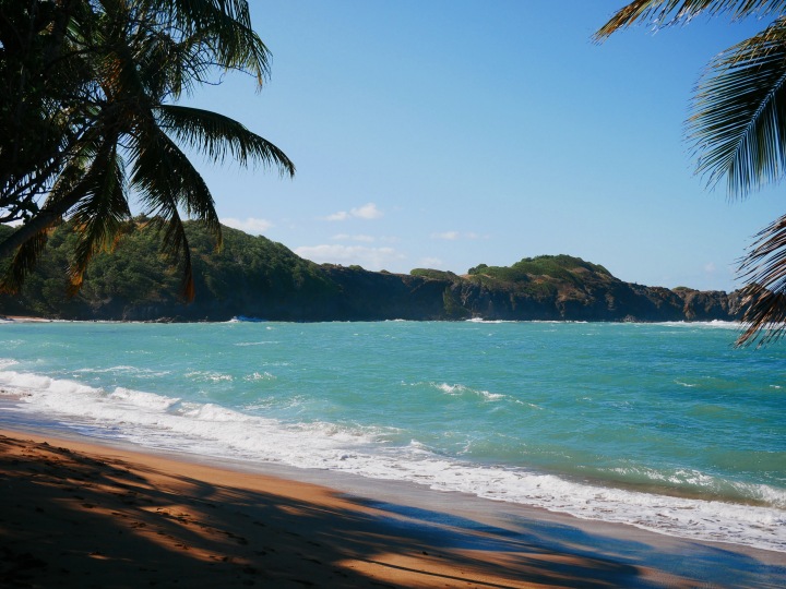 Les 5 plus belles plages de Martinique
