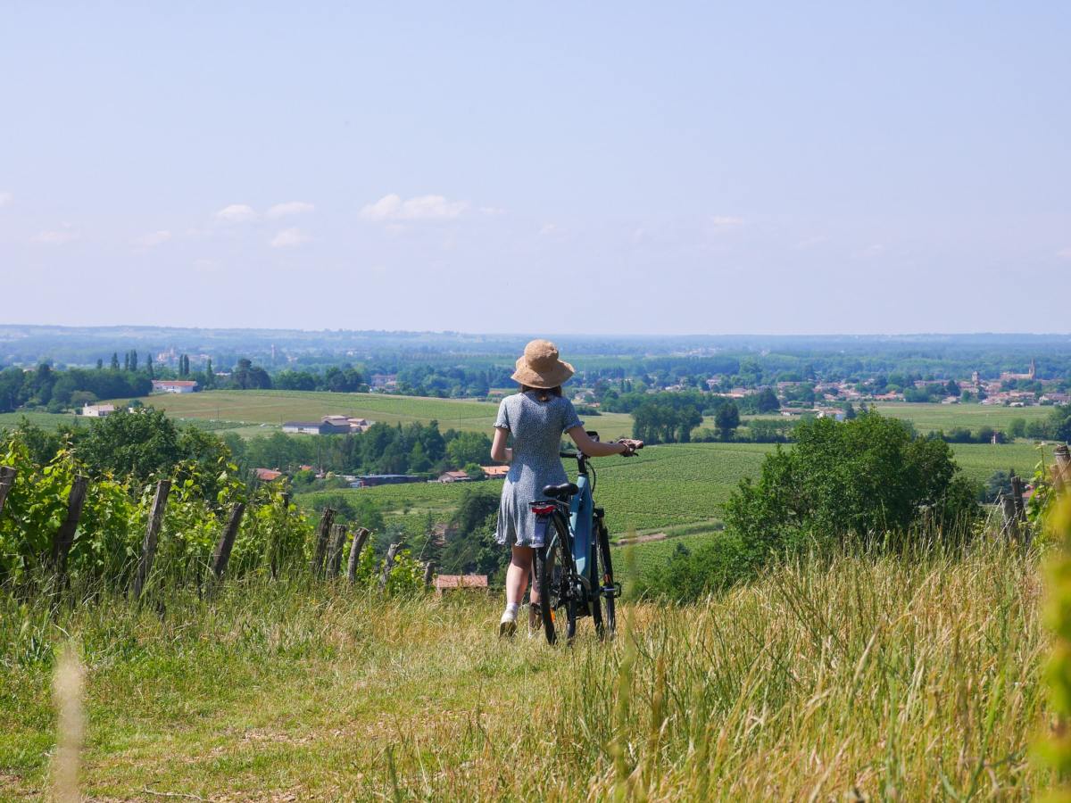 Entre-Deux-Mers : un long week-end sur les routes des vins de l’arrière pays&nbsp;bordelais