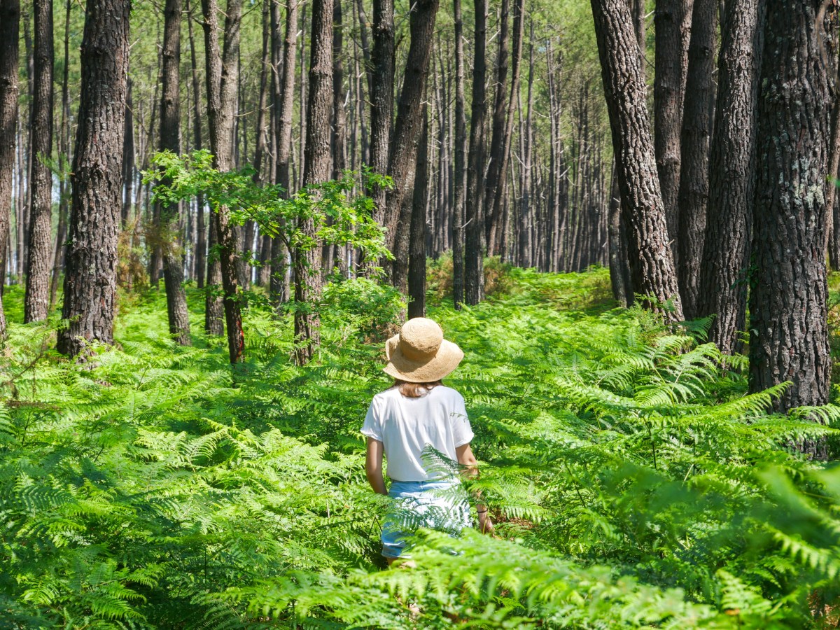 Un week-end au vert dans le Val de l’Eyre, entre Bordeaux et le Bassin&nbsp;d’Arcachon