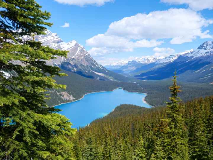 Lac Peyto rocheuses canada Calgary