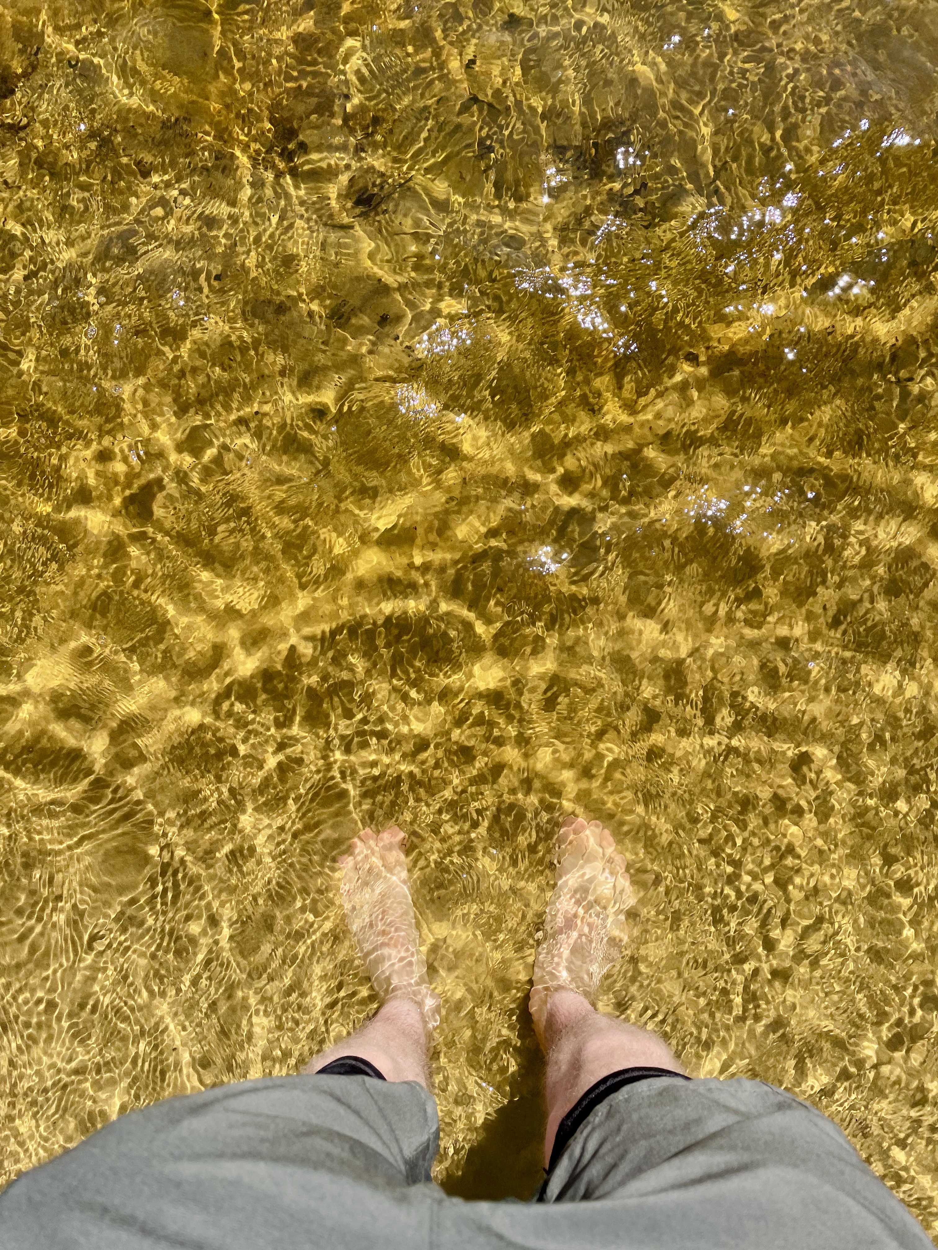 Moutchic lac Lacanau