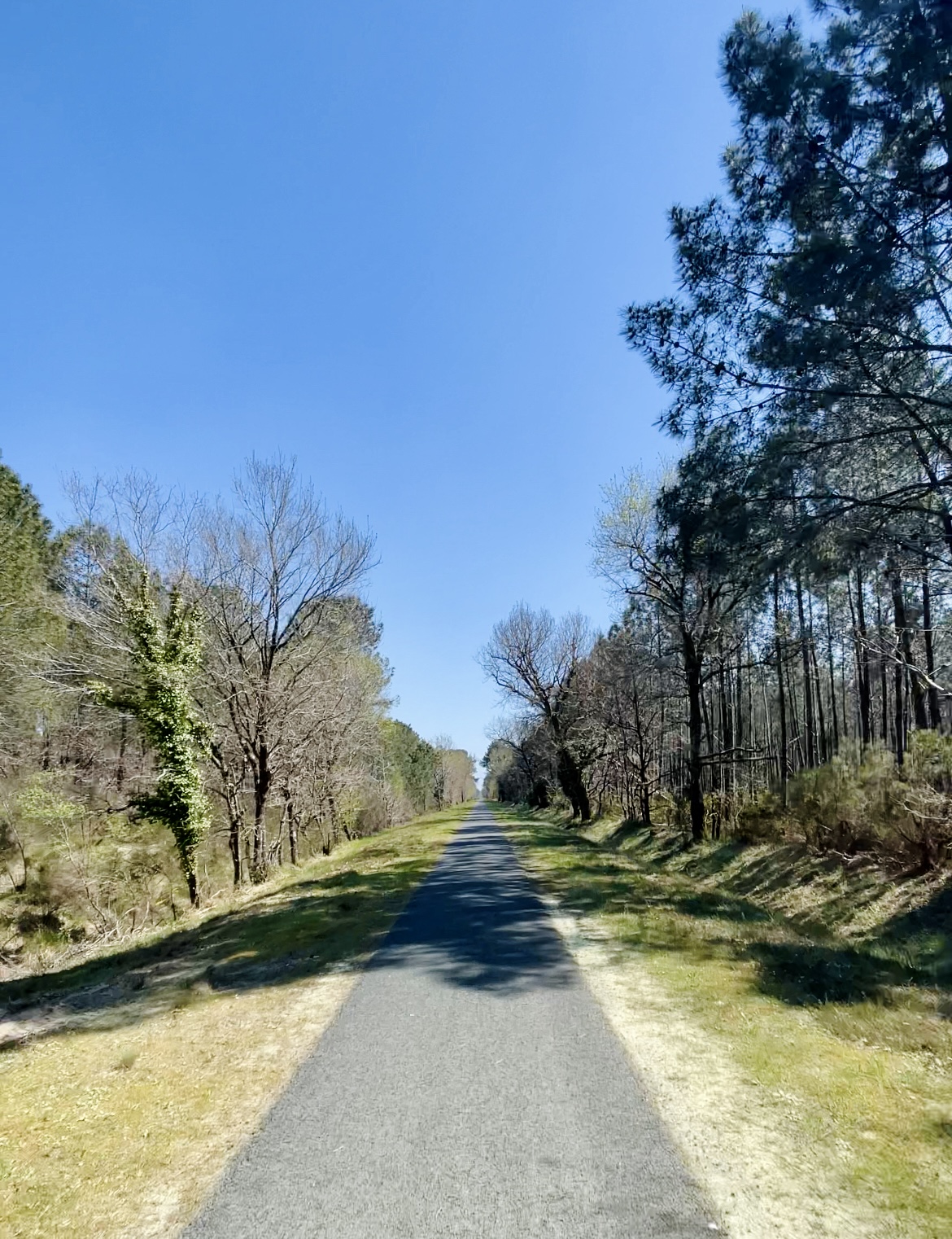 voie verte Bordeaux Lacanau vélo